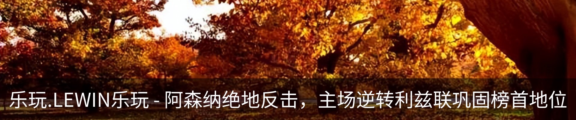 内页banner